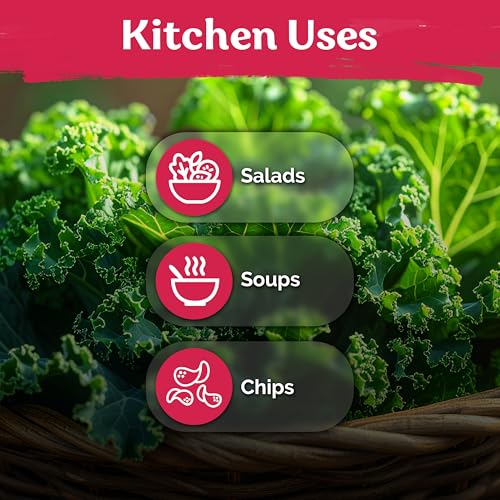 600 Vates Blue Scotch Curly Kale Seeds