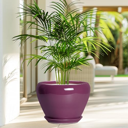 10 Inch Plant Pot (10 Inch / Purple)