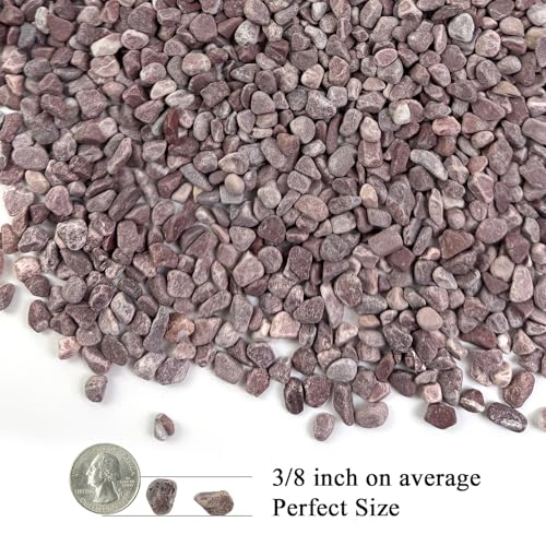 2 lbs Succulent Cactus Rocks (32 Ounce)