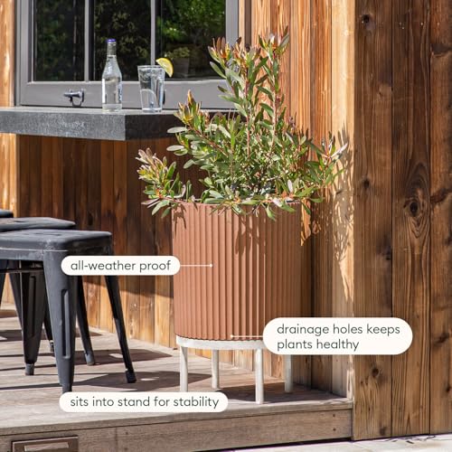 Demi Series Raised Planter (2 Count)