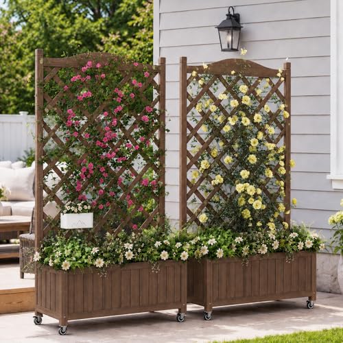 2 Pack Trellis Raised Garden Bed Trellis for Climbing Plants (Dark-brown / 49.8"H × 27.5"W × 13"D)