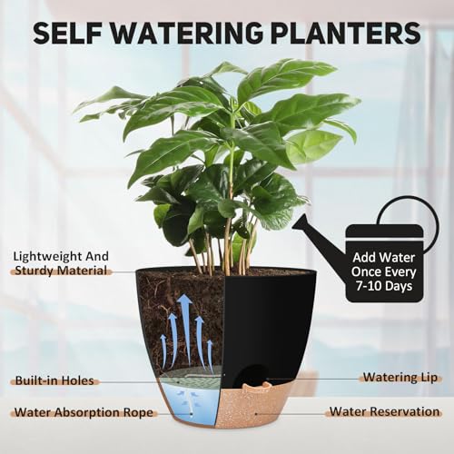 12 inch Large Self Watering Plant Pots (Black / 12 Inch)
