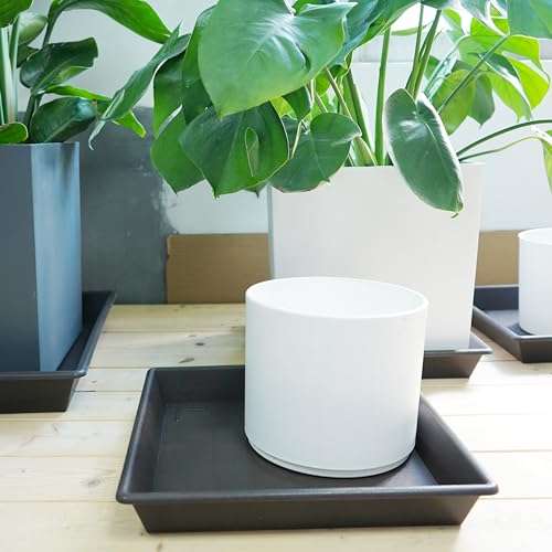 Square Plant Saucer 6 Inch 5 Pack6 8 12 14 16 18 20 Plant Trays for Pots Heavy Duty Plastic Plant Saucers for Indoors Outdoors (6"-5Pack / Brown)