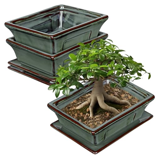 Set of 2 Bonsai Pots with Drainage Tray (Green / 6.2"x4.5"x1.9")