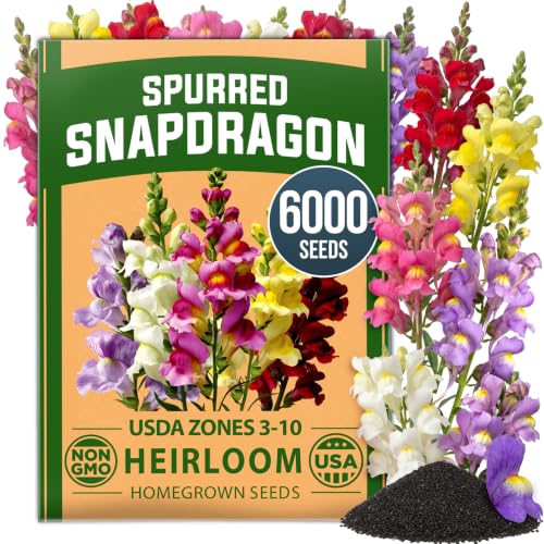 Fairy & Northern Lights 6000 Snapdragon Seeds Linaria maroccana