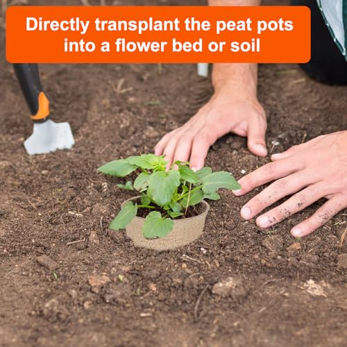 120 Packs 3.15 Inch Peat Pots (3.15INCH)