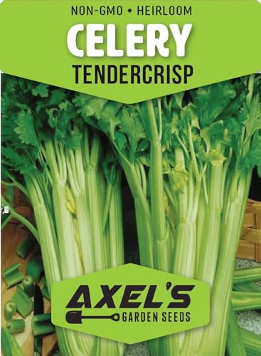 500+ Tendercrisp Celery Seeds for Planting
