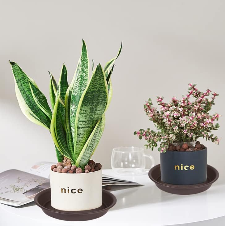 6 Pack Plant Saucer Water Drip Tray (4" / Dark Brown)