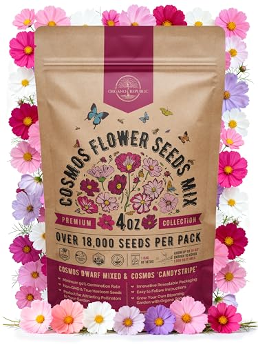 Cosmos Flower Seeds Pack 4 oz