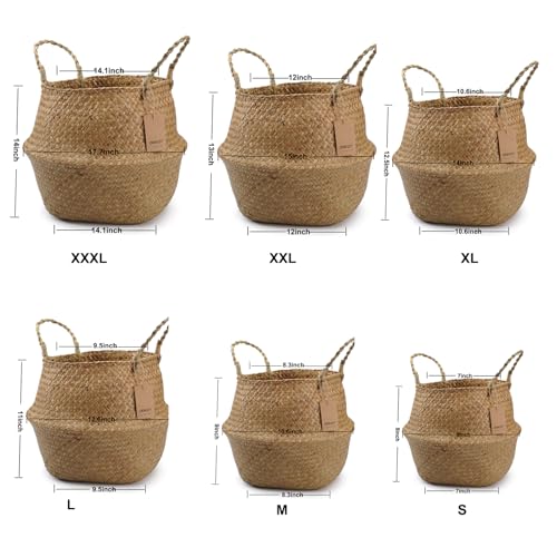 Large Woven Seagrass Belly Basket for Plant (XXL (12" D x 14" H) / Natural)