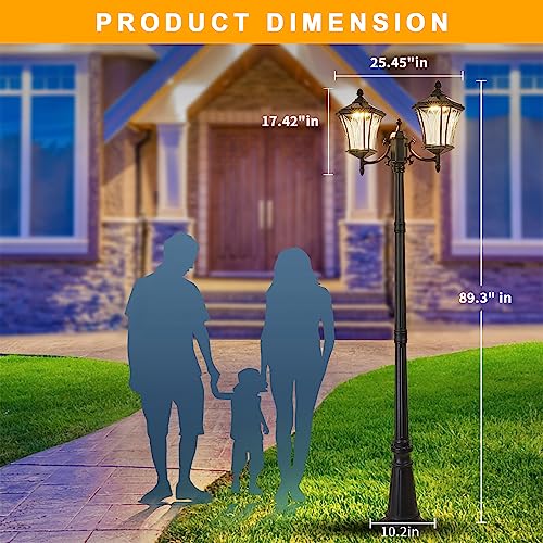 2 Head Outdoor Solar Lamp Post Lights with Waterproof (Xxl-2-s)