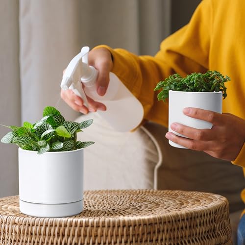 2 Pack Ceramic Pots & Saucers (2 Count)