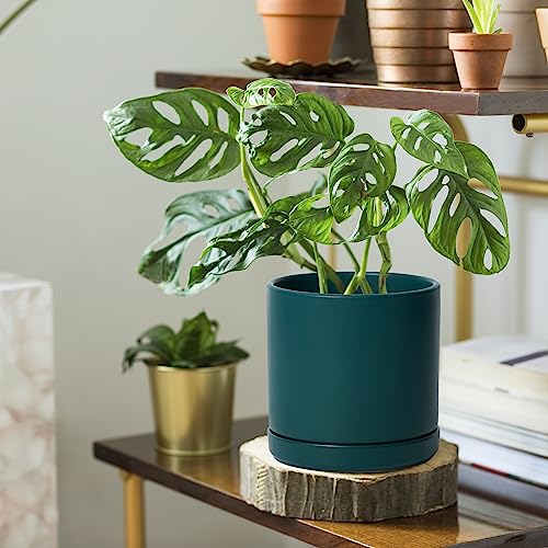 6 Inch Ceramic Planter Pot