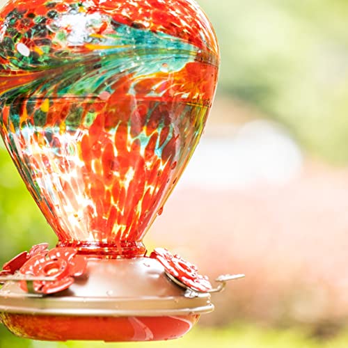 Hummingbird Feeders for Outdoors Hanging (Phoenix Flying)