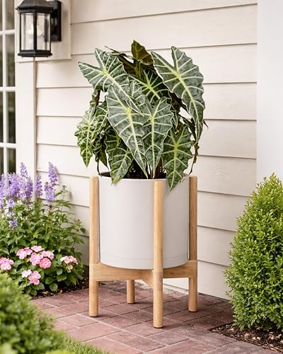 Plastic Pot with Natural Wood Stand (Oatmeal Pot + Natural Stand / 10 Inch)