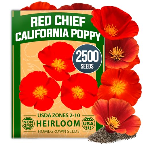 Red Chief California Poppy Seeds