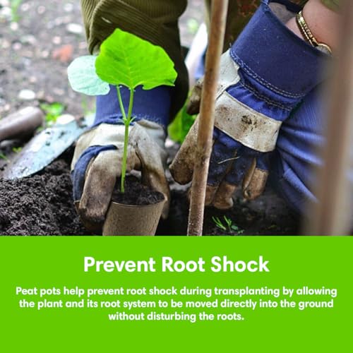 Seed Starter Kit