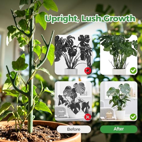 10 Pack Stackable Monstera Plant Support