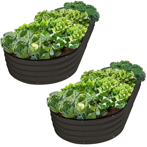 Galvanized Raised Garden Beds Outdoor (2 Count)