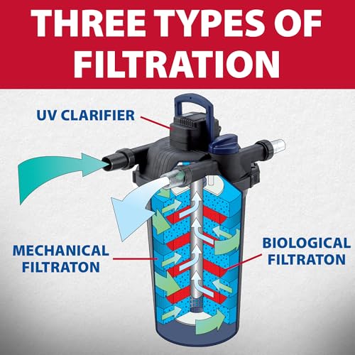 AllClear 8000 G3 & SolidFlo 3600 Pump Combo System (AllClear 8000 G3 & SolidFlo 3600)