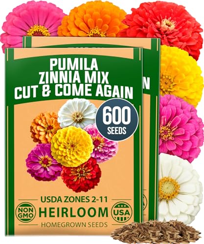 Pumila Dwarf Zinnia Mix Seeds