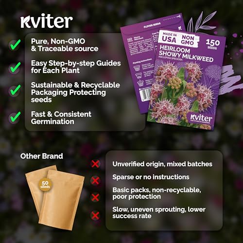 150 Showy Milkweed Heirloom Flower Seeds for Planting