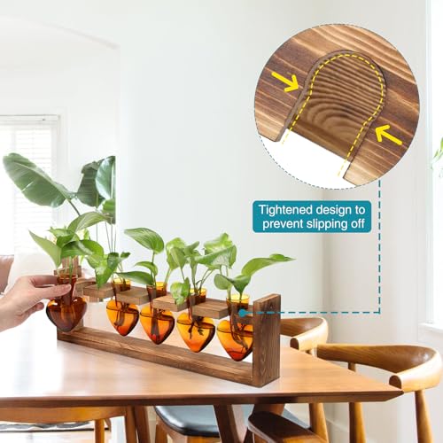 Plant Terrarium Hanging Propagation Stations Gift for Women