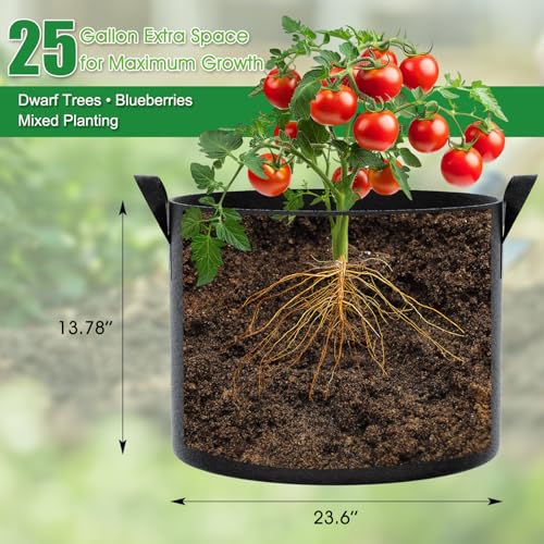 25 Gallon Plant Grow Bags 8 Pack 300G Fabric Pots with Handles (Black / 25 Gallon)