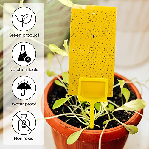 220 Pcs 7.9 x 4 Inch Yellow Sticky Traps for Plant Gnats Dual Sided Fruit Fly Sticky Traps for Indoors Outdoors with Twist Ties & Plastic Holders for Insect (7.9 x 4 Inch)
