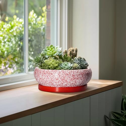Bonsai Tree Pots 13 Inch (13 Inch / Red-white)
