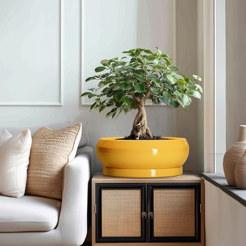 Ceramic Bonsai Pots (13 Inch / Bright Yellow)