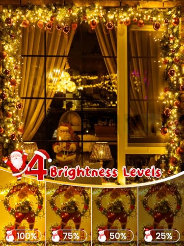 Christmas Cluster Lights 25FT 500 LED String Lights with Remote Warm White (Warm White / 500LED)