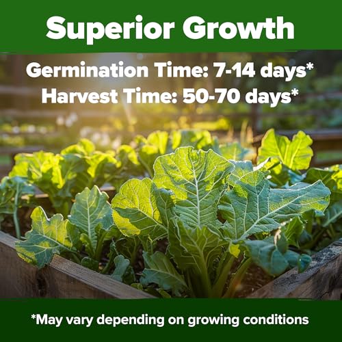 Georgia Southern Collard Seeds (2 Count)