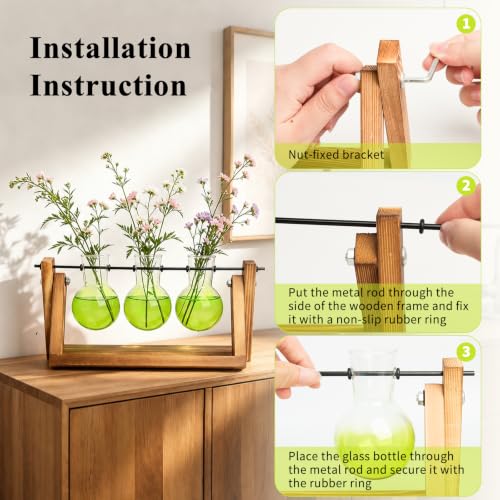 Plant Terrarium Kit with Wooden Stand 3 Gradient Green Bulb Vases (Green)