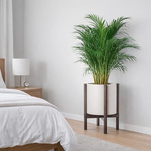 Plastic Pot with Walnut Wood Stand (Oatmeal Pot + Walnut Color Stand / 12 Inch)
