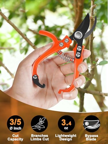 6.3" Garden Scissors for Plant (Curved Blade(Bypass))