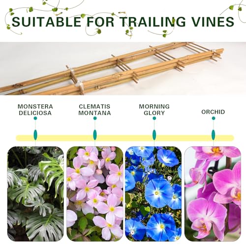Bamboo Trellis 10 Pack (16in Ladder Shaped, Pack of 10)
