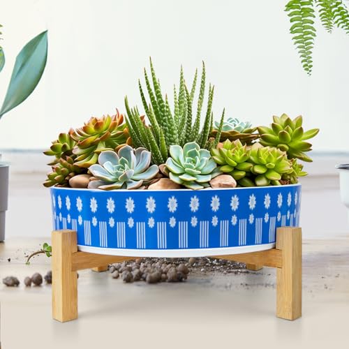 Succulent Pots (Floral 1)