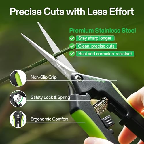 6.5 Inch Garden Scissors (2 Count)