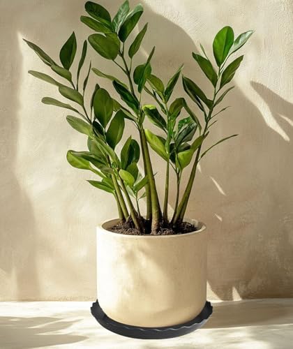2 Pack of 20 inch Plant Saucer Plant Tray (20" (2 pack) / Black)