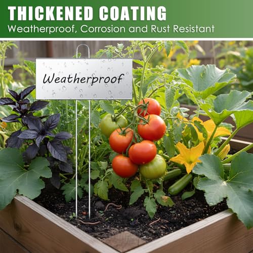 12 Pcs Large Plant Marker (10'' X 4'' with 16.5'' Stake / Silver)