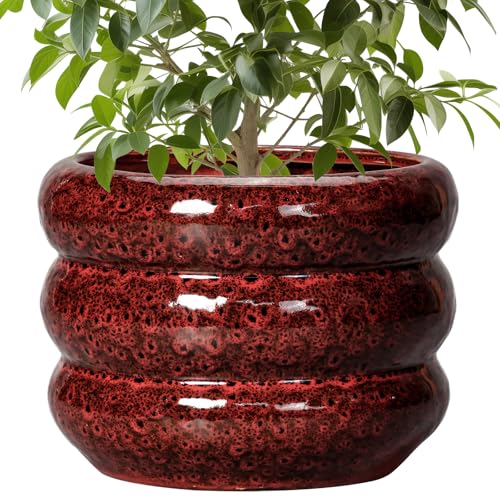 10 Inch Plant Pots (10 Inch / Leopard Print Red)