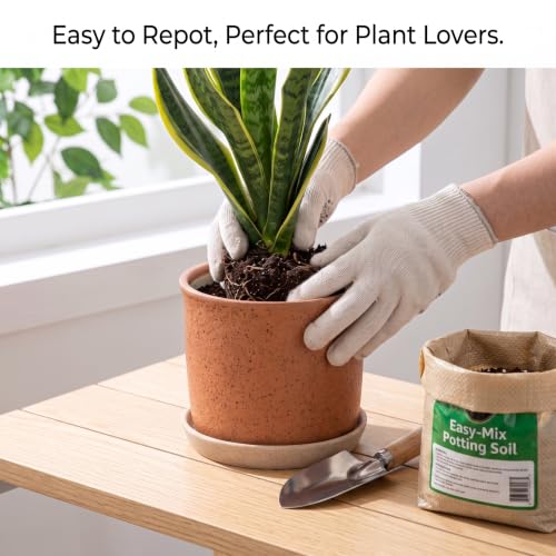 5.8 Inch Ceramic Plant Pot with Drainage Hole & Separate Saucer (Terracotta / 6 inch)
