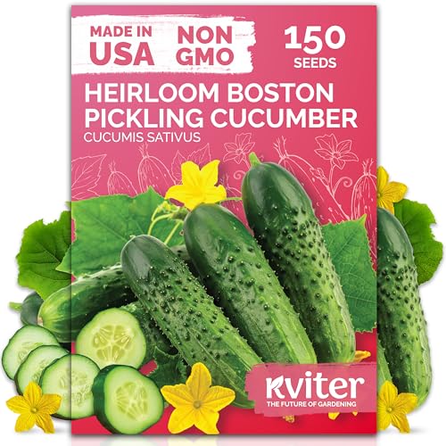 150 Boston Pickling Cucumber Heirloom Vegetable Seeds