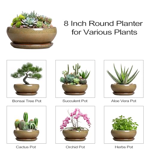 Succulent Pots (8 Inch / Speckled-brown)