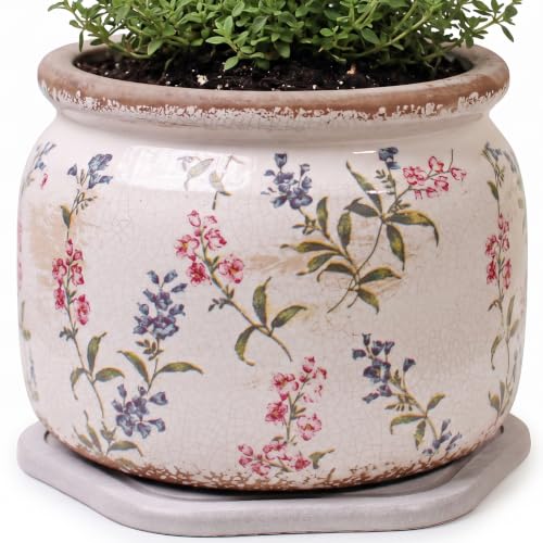 French Country Ceramic Plant Pot with Decorative Saucer (Purple Red / 7.7 in - w/ Saucer)