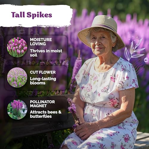 600 Marsh Blazing Star Heirloom Flower Seeds for Planting