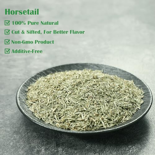 Premium Horsetail Tea Loose Leaf (4 Ounce (Pack of 1))