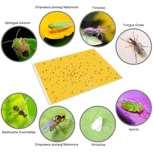 50-Pack Dual-Sided Yellow Sticky Traps for Flying Plant Insect Fungus Gnats Whiteflies Aphids Leafminers Thrips (6x8 Inches, Included 50pcs Twist Ties) (50 Count)