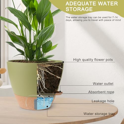 Self Watering Pots for Indoor Plants (Green-small)
